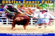 chaffee county fair and rodeo