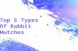 Top 5 Types of Rabbit Hutches