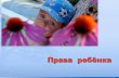 Права ребенка в РФ
