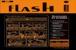 Flash informatique 2009 - no 6