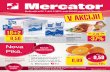Mercator v akciji katalog