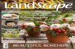 LandScape November/December Issue