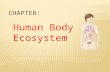 Human body ecosystem