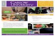 Which major should I choose? | Carlow University