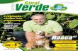Revista Sinal Verde - 2ª edição