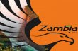 Destination Zambia 2013