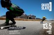 Skate[Slate] 13.5 Late Summer