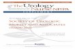 Reports from the Society of Urologic Nurses and Associates (SUNA) 2010