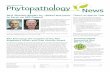 July 2011 Phytopathology News