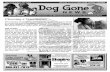 Dog Gone Carpet Cleaning July 2010 Newsletter