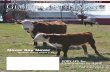 March 2013 Georgia Cattleman Magazine