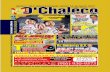 D'Chaleco Magazine 544