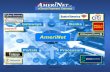 AmeriNet Presentation to Cybersource