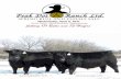 Peak Dot Ranch Ltd. Spring Bull & Female Sale 2011