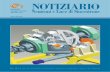 NOTIZIARIO Neutroni e Luce di Sincrotrone - Issue 12 n.1, 2007