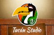 TUCAN STUDIO - presentacion de marca