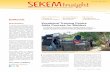 SEKEM Insight 03.14 EN