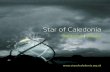 Star of Caledonia