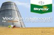 Skyway brochure