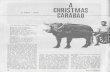 1965 Dec. - A Christmas Carabao