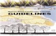 Wairau Plains Landscape Concept - Guidelines