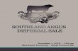 Southland Dispersal Sale
