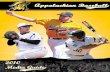 2010 Appalachian State Baseball Media Guide