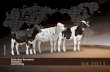 Holstein Canada liste de taureaux