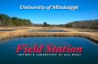 UM Field Station Brochure
