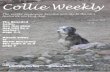 Collies Weekly