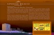 apogee beach newsletter