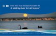Swan River Trust Strategic Plan 2010-2015