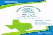 2013 Texas Walk for Brain Injury Sponsorship Brochure