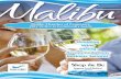 Malibu Chamber Community Guide