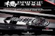Bridge Magazine (15/01/10)