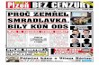 Plzeň bez cenzury 6/2013