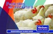 Fenicoles en avicultura