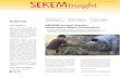 SEKEM Insight 04.14 EN