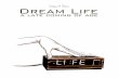 Dream Life | a late coming of age - 61 page preview