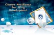 Choose WordPress For Blog Development
