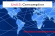 consumption, tgaw. year 7, geography