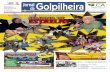 1011 Jornal da Golpilheira Novembro 2010