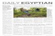 Daily Egyptian 4/25/12