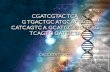 Сохранение ДНК, автор Валерия Прайд