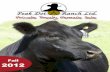 Peak Dot Ranch Private Treaty Female Sale 2012