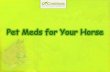 Pet Meds for your Horse