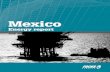 Oil and gas Mexico report 2007 Part 2