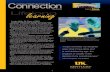 Connection Newsletter  Spring 2008