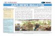 AAPI Bulletin Vol. 19 September 2012 (English)