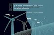 Offshore wind energy and birds